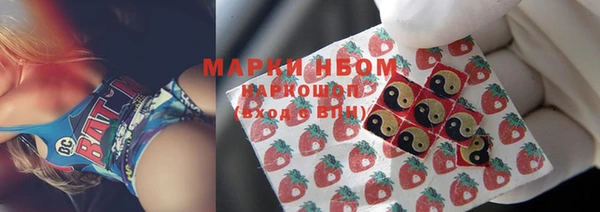 шишки Кодинск