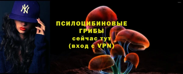 спайс Костерёво