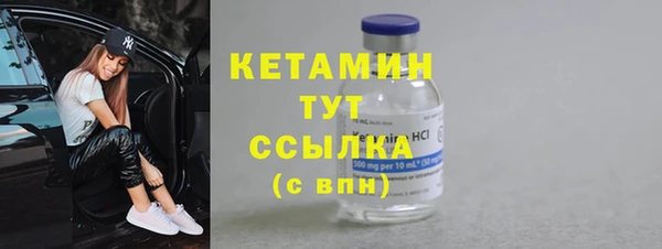 шишки Кодинск