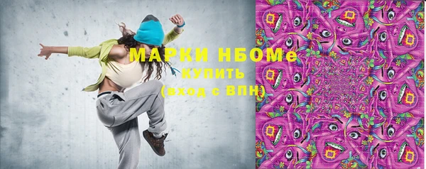 шишки Кодинск