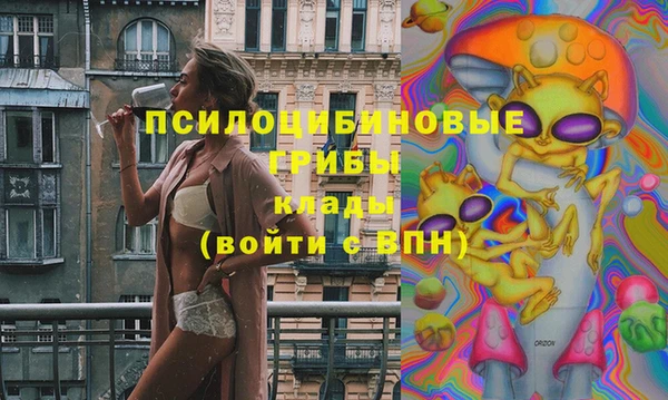 крисы Мурманск