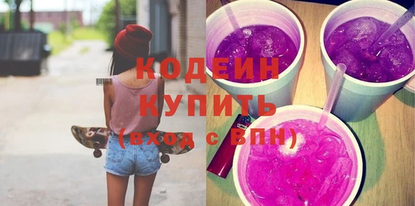 шишки Кодинск
