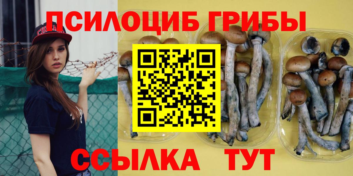 Галлюциногенные грибы Psilocybine cubensis  Вход с VPN  Мелеуз 
